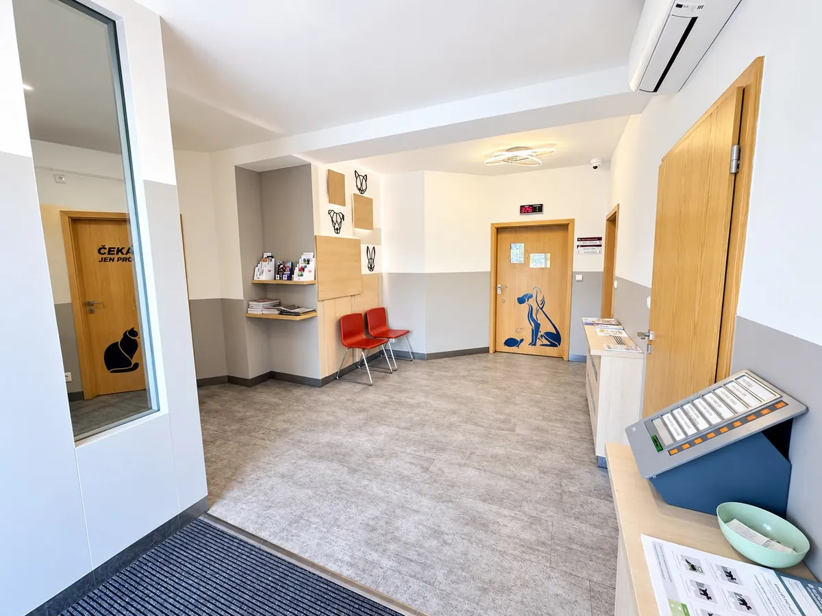 Hlavní čekárna kliniky s červenými židlemi, geometrickými obrazy zvířat na stěně a dveřmi ordinace s polepem