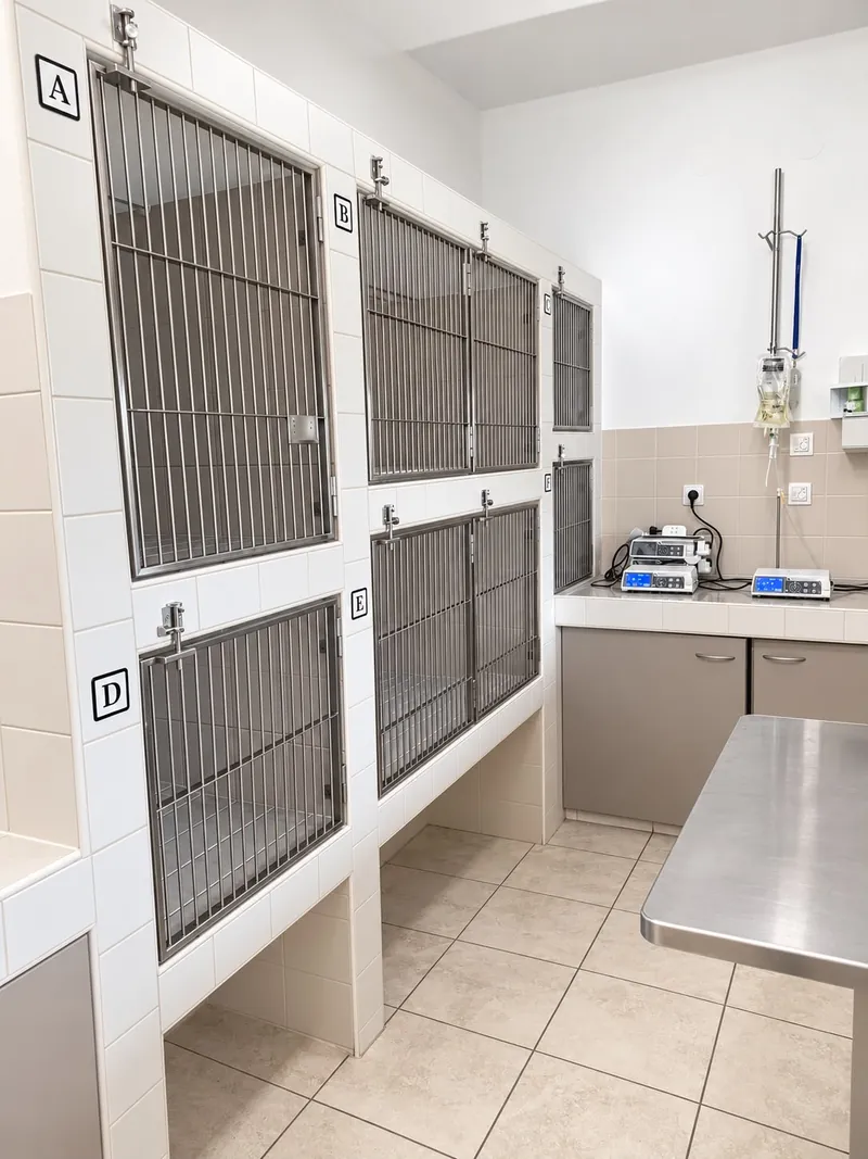 Kočičí hospitalizační boxy označené písmeny A až E, nerezový stůl a infuzní pumpy