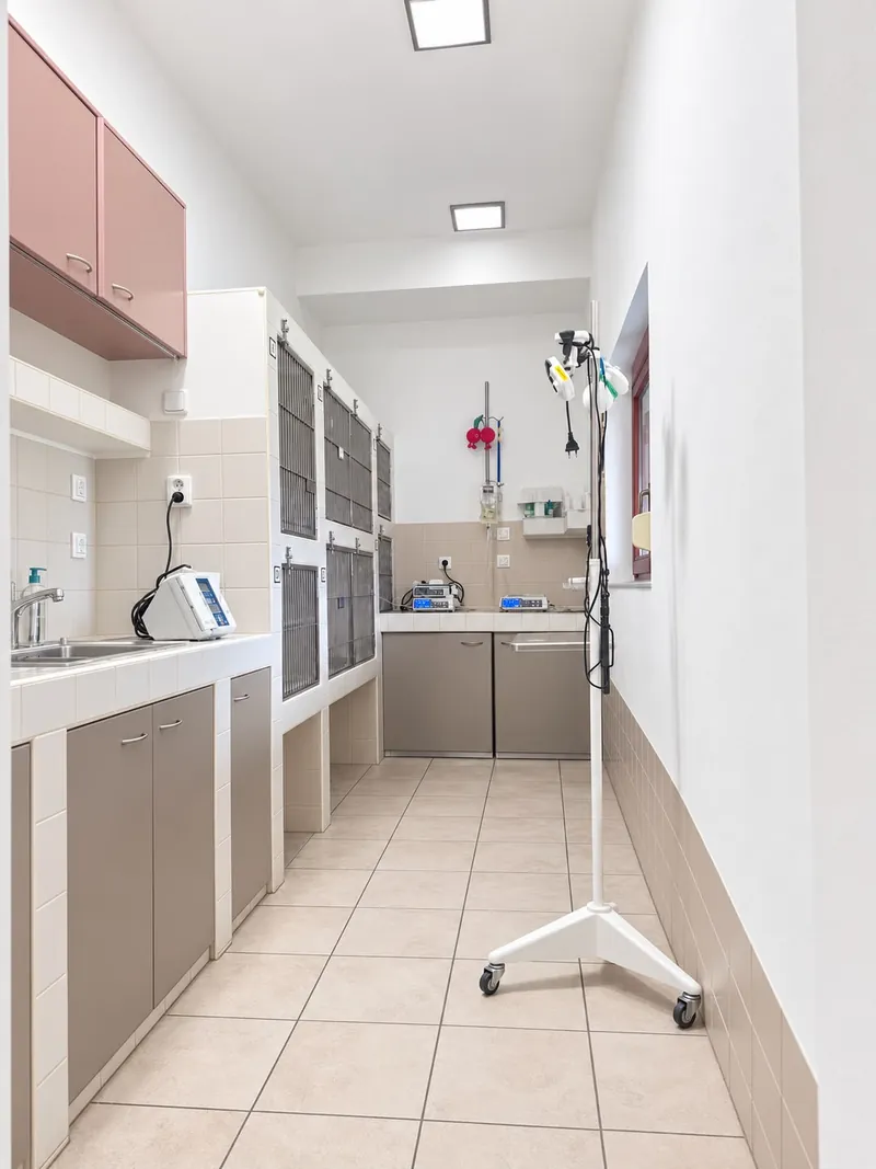 Pohled z chodby do místnosti pro hospitalizaci koček: růžové skříňky, boxy vlevo a stojací lampa