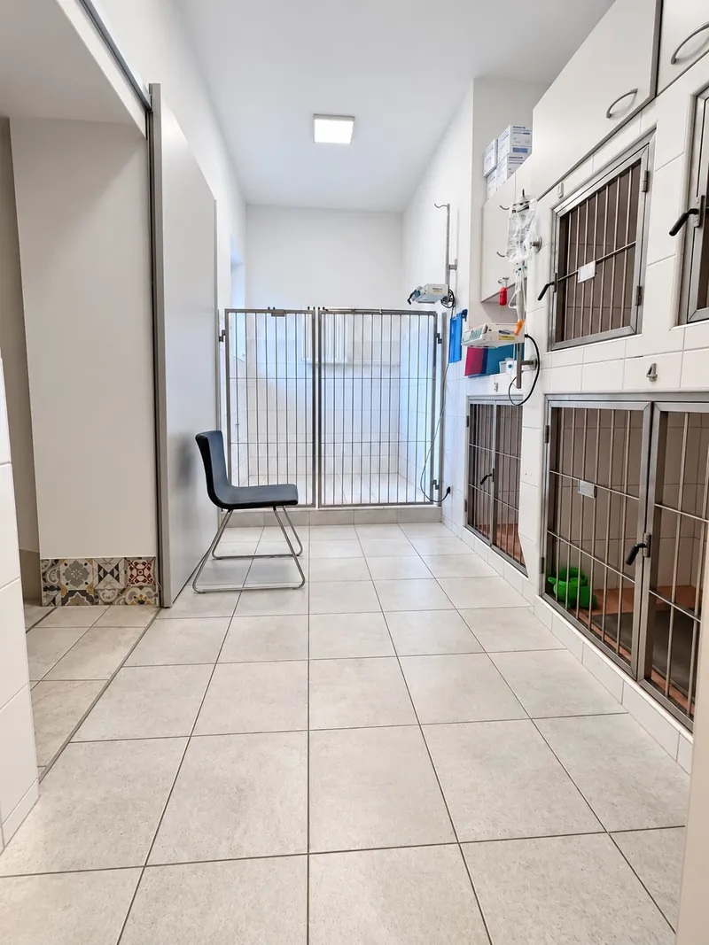 Chodba hlavní hospitalizace s velkým kotcem, židlí a dlažbou