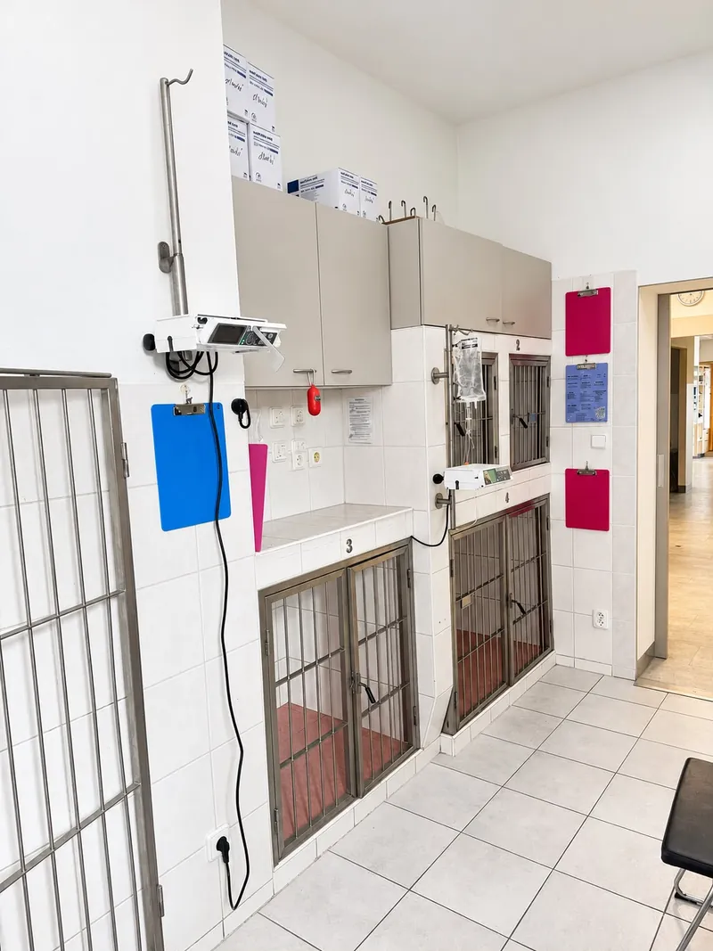 Řada hospitalizačních kotců číslovaných 1 až 4 s informačními deskami
